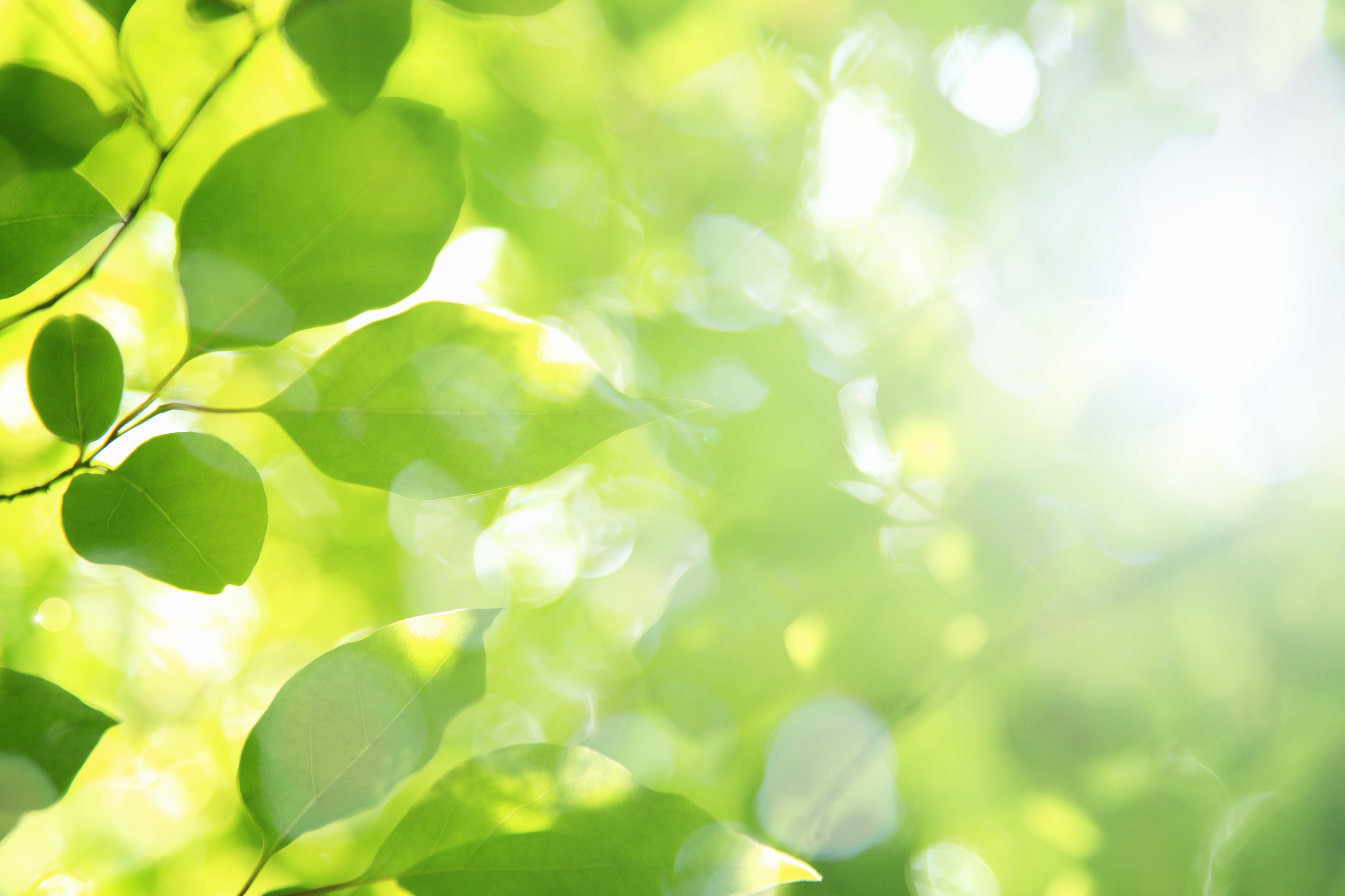 ���̓x�u���O���J�݂������܂����B